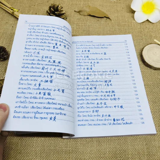คู่มือสมุนไพร ไทย-จีน รูปที่ 11