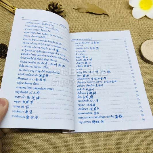 คู่มือสมุนไพร ไทย-จีน รูปที่ 9