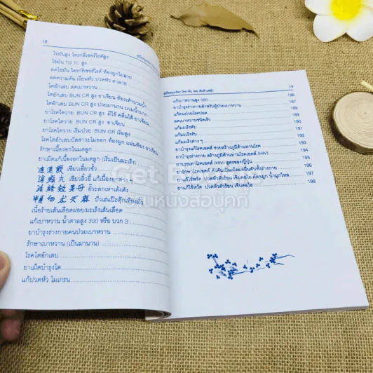 คู่มือสมุนไพร ไทย-จีน รูปที่ 13