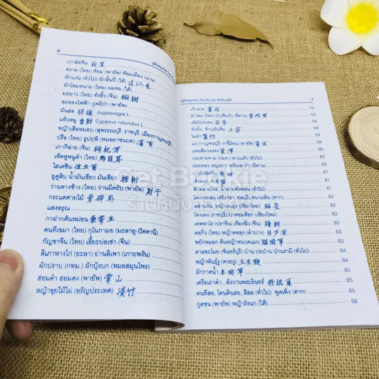 คู่มือสมุนไพร ไทย-จีน รูปที่ 7
