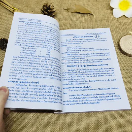 คู่มือสมุนไพร ไทย-จีน รูปที่ 15