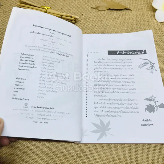 ผักพื้นบ้านไทย สมุนไพรต้านโรค รูปที่ 5