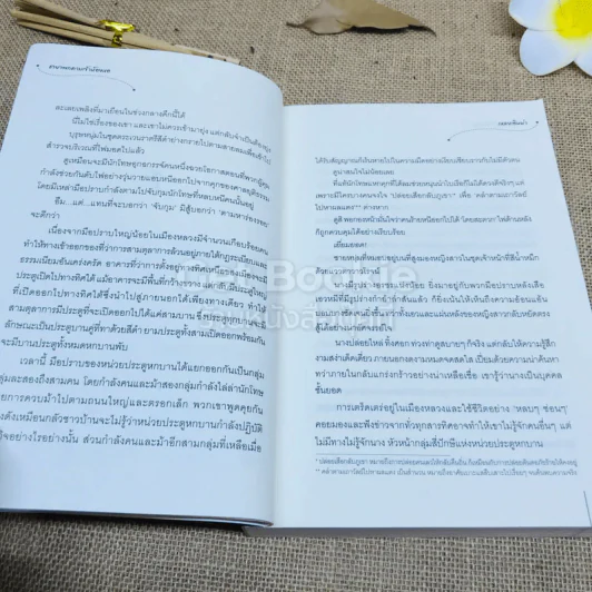 ชายาพกดาบเข้าห้องหอ รูปที่ 7