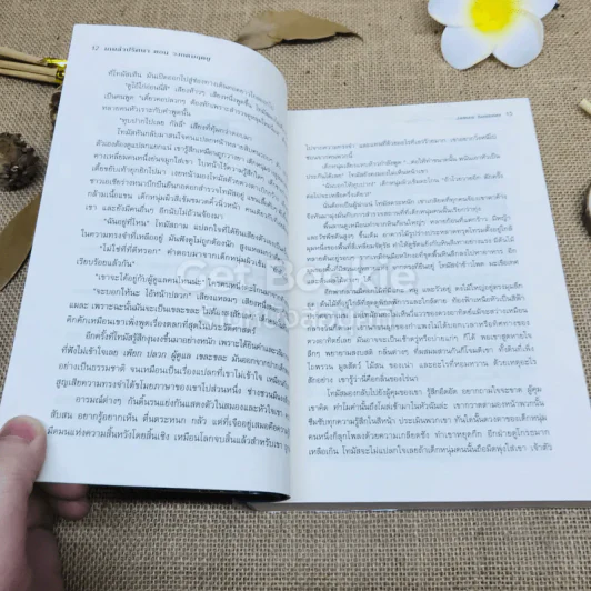 The Maze Runner Vol.1 เกมล่าปริศนา ตอน วงกตมฤตยู รูปที่ 8