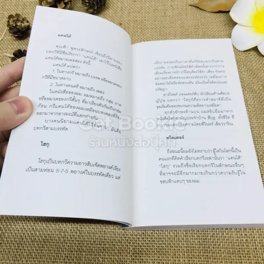 สิ่งที่ค้นพบระหว่างนั่งเฉยเฉย - นิ้วกลม รูปที่ 6
