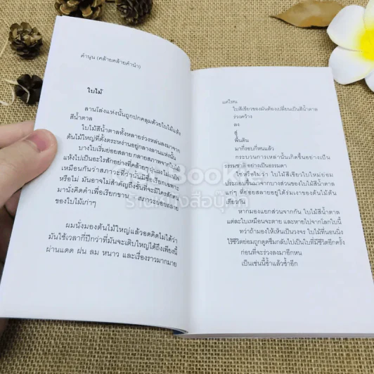 สิ่งที่ค้นพบระหว่างนั่งเฉยเฉย - นิ้วกลม รูปที่ 5