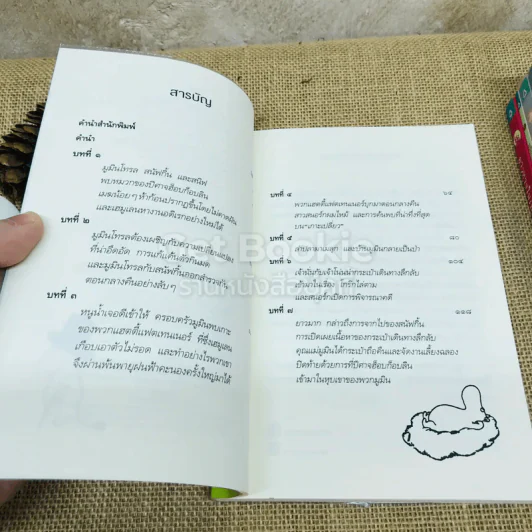 มูมิน 6 เล่ม รูปที่ 7