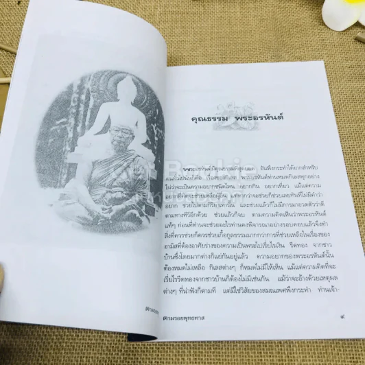 ตามรอยพุทธทาส รูปที่ 6