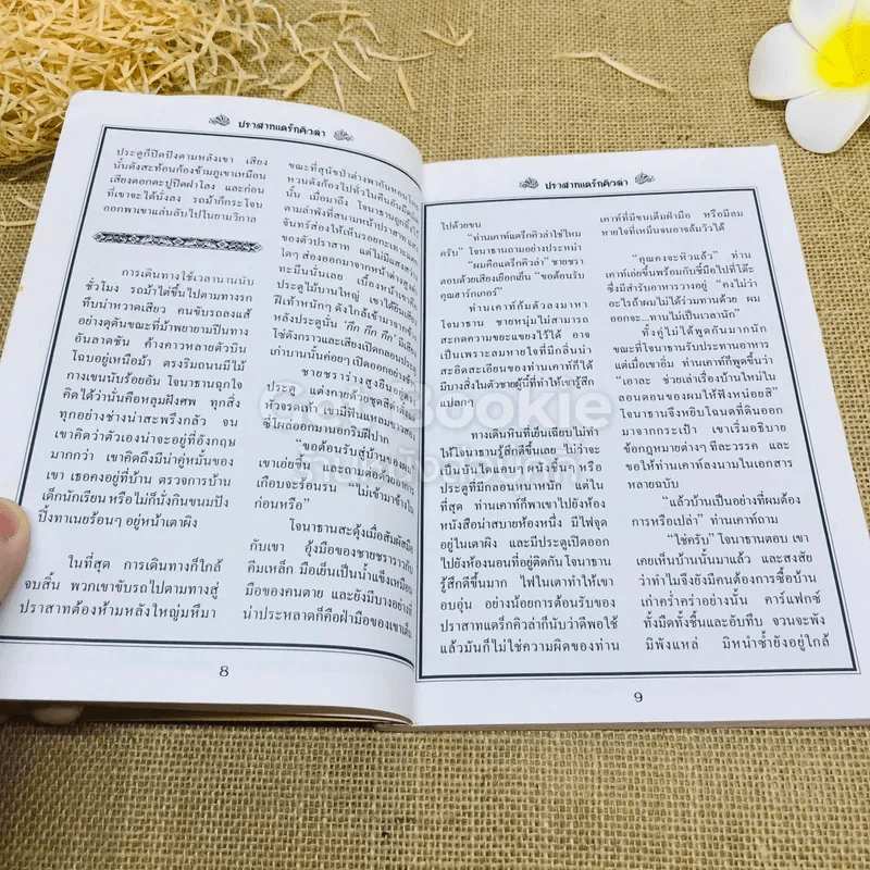ชุดวรรณกรรมอมตะโลก แดร็กคิวล่า รูปที่ 7