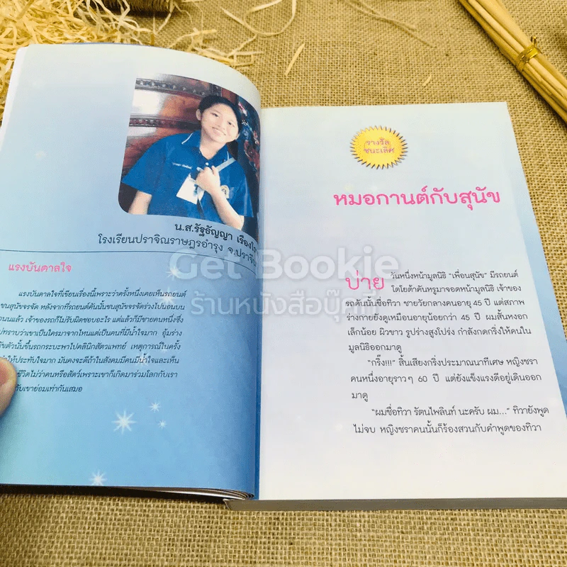 ทำความดีไม่มีที่สิ้นสุด รูปที่ 12