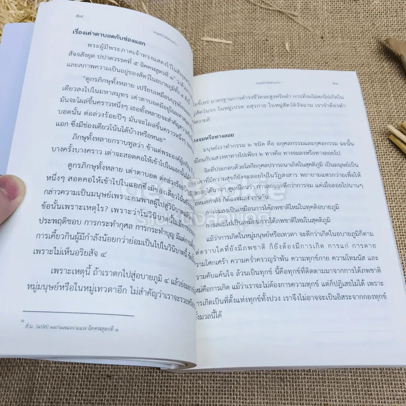 ตื่นเถิดชาวโลก - อัยยา จิตรญาณี รูปที่ 13
