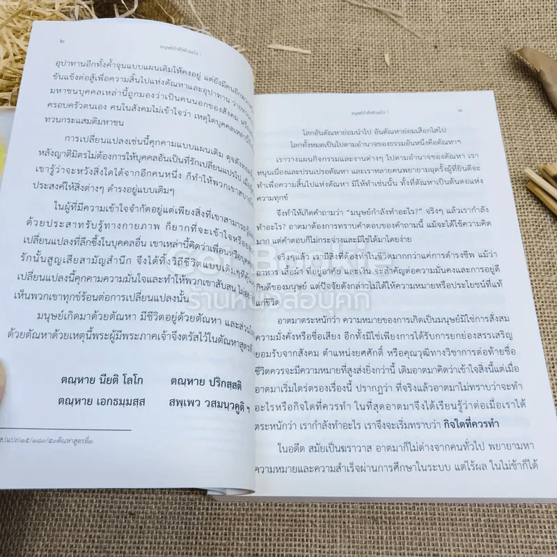 ตื่นเถิดชาวโลก - อัยยา จิตรญาณี รูปที่ 11