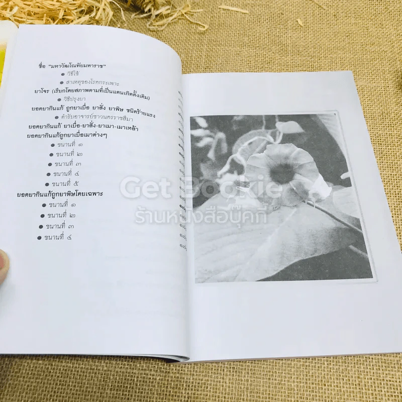 มหัศจรรย์สมุนไพรไทย รูปที่ 10