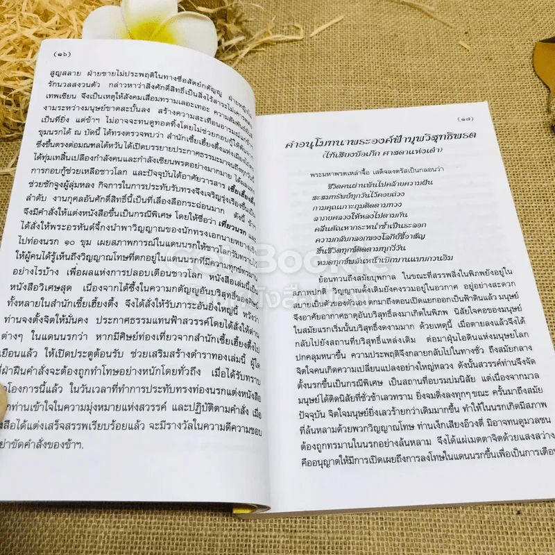 เที่ยวนรก โดย พระอรหันต์จี้กง รูปที่ 8