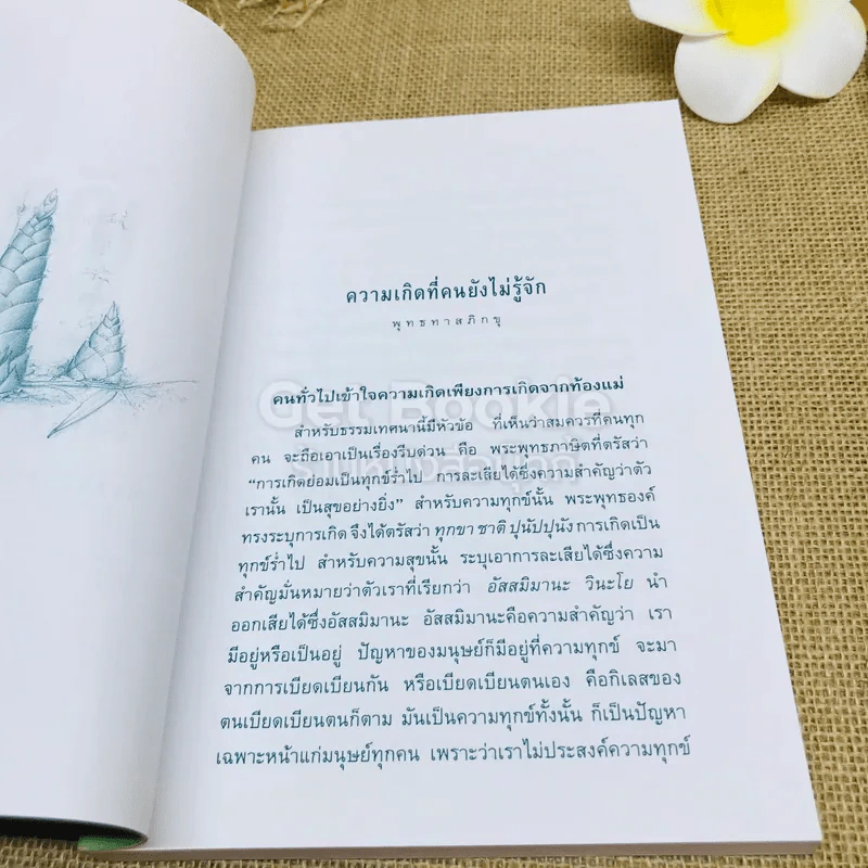 รวมพระธรรมเทศนาของพระธรรมาจารย์เรื่องความเกิด รูปที่ 5