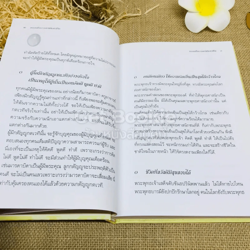 ธรรมเพื่อความสวัสดี ชีวิตนี้สำคัญนัก รูปที่ 8