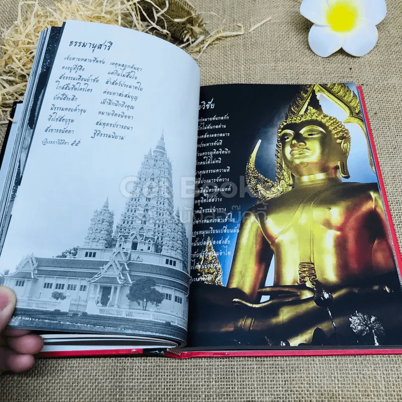 ปฏิเวธภาวินีคีตา - สัจจวิชโช รูปที่ 17
