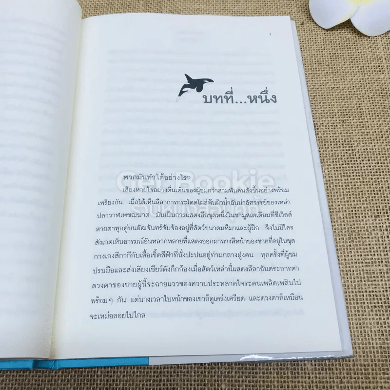 วาฬบอกเยี่ยม Whale Done! พลังแห่งความสัมพันธภาพด้านบวก รูปที่ 9