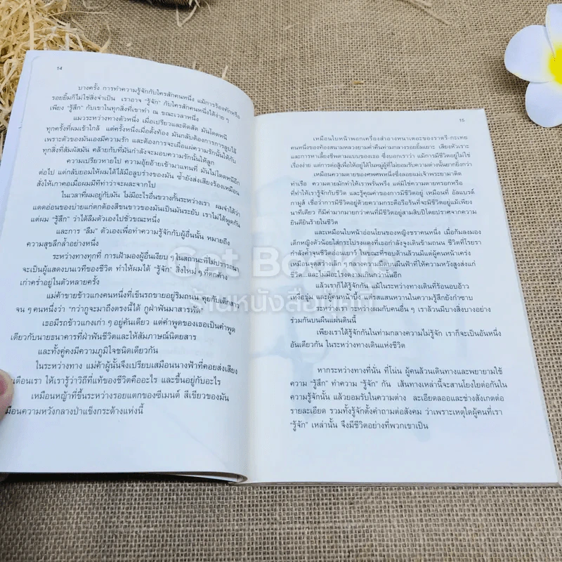 กาแฟและชา หมาและแมว รูปที่ 10