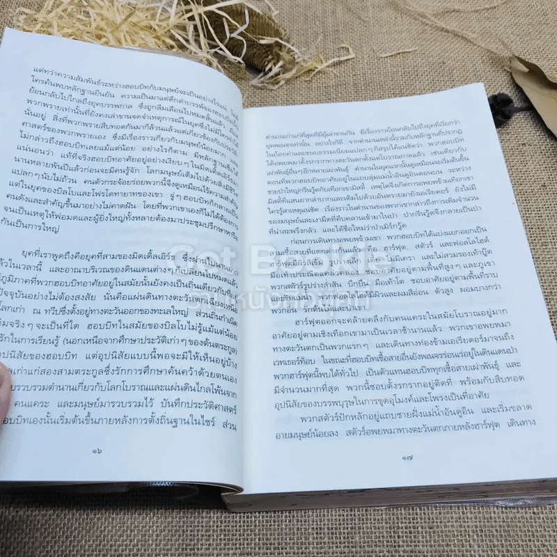 The Lord of the Rings ลอร์ด ออฟ เดอะ ริงส์ 1 ตอนมหันตภัยแห่งแหวน รูปที่ 12