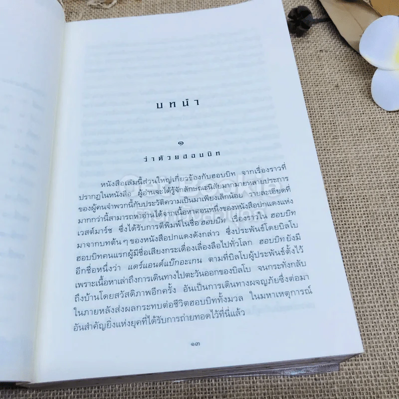 The Lord of the Rings ลอร์ด ออฟ เดอะ ริงส์ 1 ตอนมหันตภัยแห่งแหวน รูปที่ 10