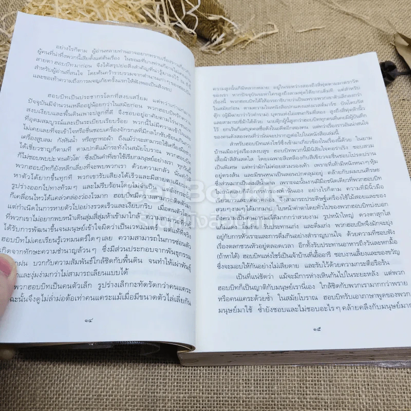 The Lord of the Rings ลอร์ด ออฟ เดอะ ริงส์ 1 ตอนมหันตภัยแห่งแหวน รูปที่ 11