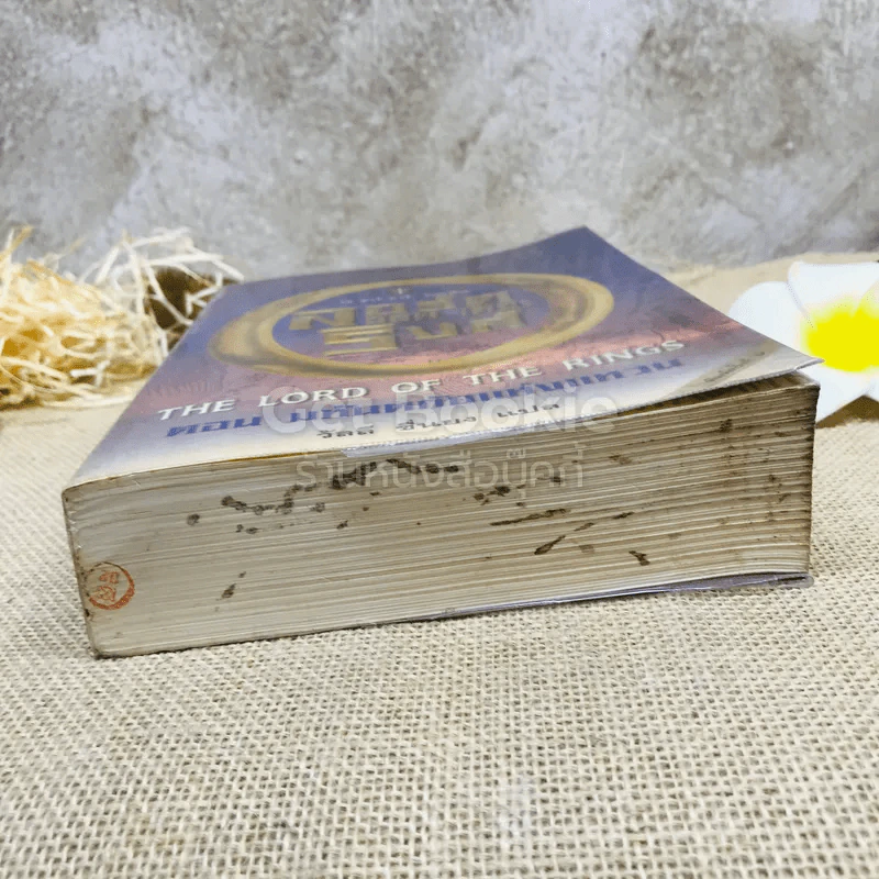 The Lord of the Rings ลอร์ด ออฟ เดอะ ริงส์ 1 ตอนมหันตภัยแห่งแหวน รูปที่ 15