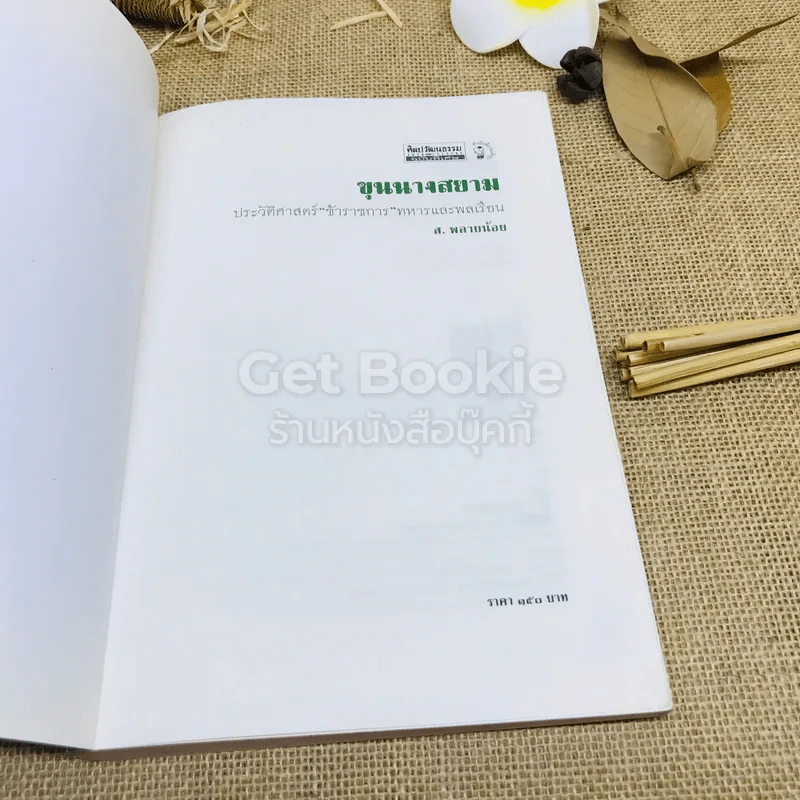 ขุนนางสยาม ประวัติศาสตร์ ข้าราชการทหารและพลเรือน รูปที่ 4