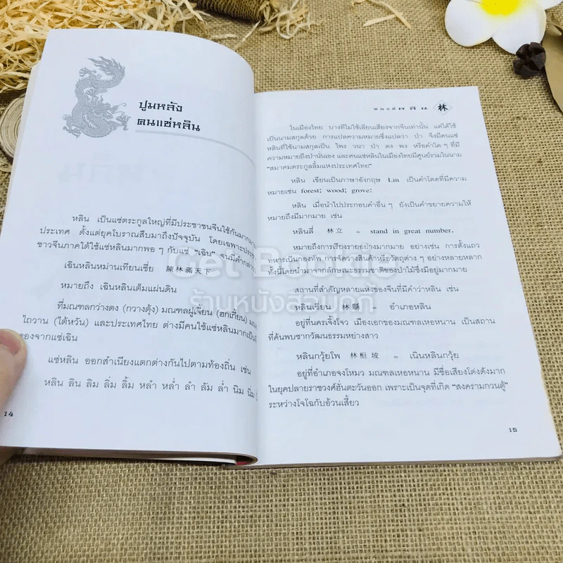 คนแซ่หลิน - สุขสันต์ วิเวกเมธากร รูปที่ 8