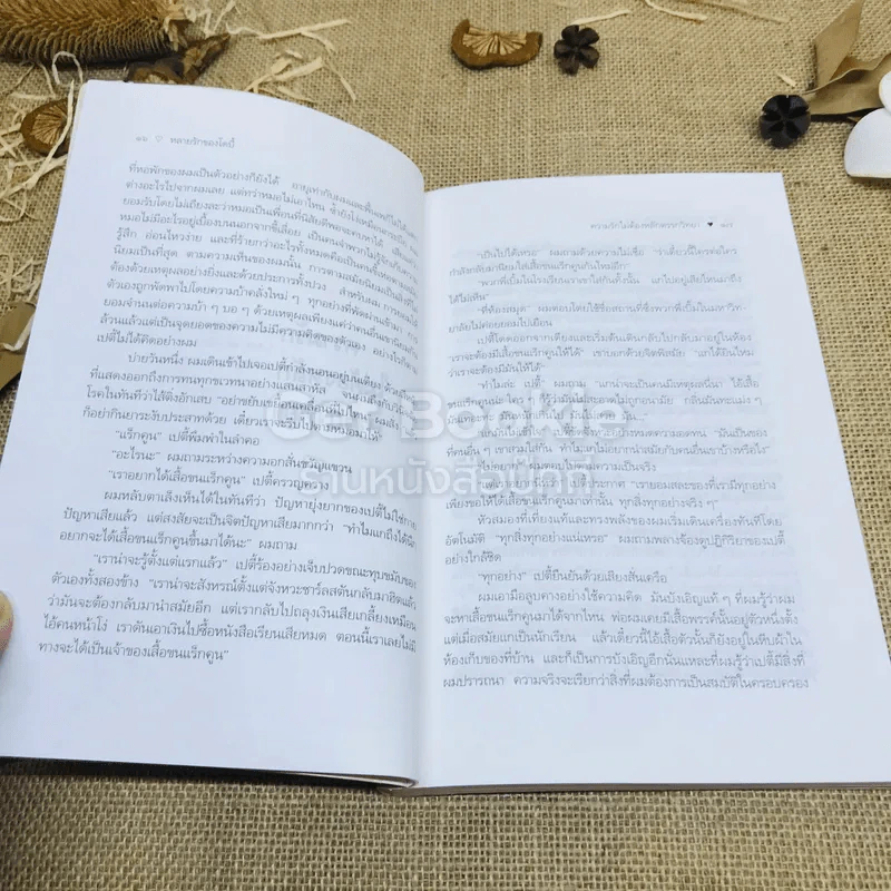 หลายรักของโดบี้ รูปที่ 10