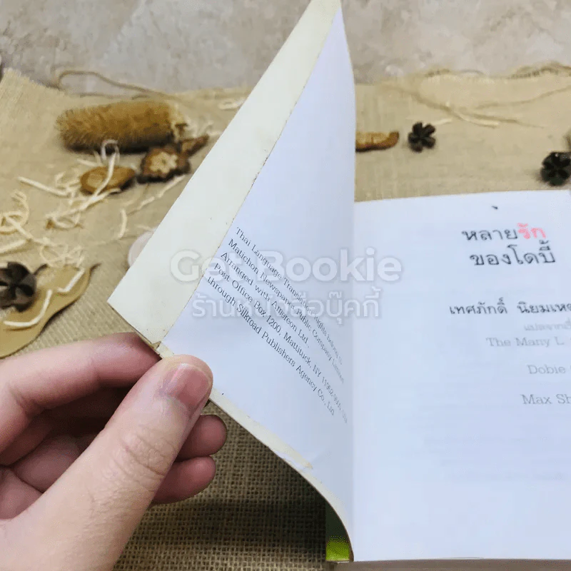 หลายรักของโดบี้ รูปที่ 5