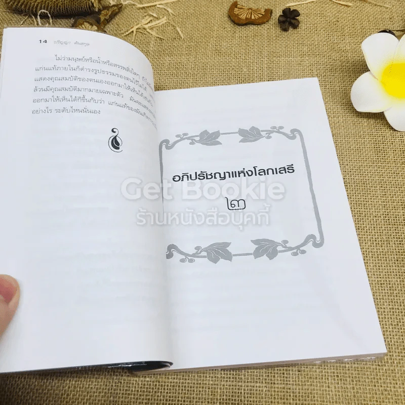 พบตนในตน ฉบับอภิปรัชญาแห่งโลกเสรี รูปที่ 9