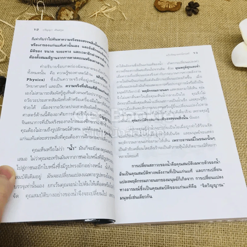พบตนในตน ฉบับอภิปรัชญาแห่งโลกเสรี รูปที่ 8