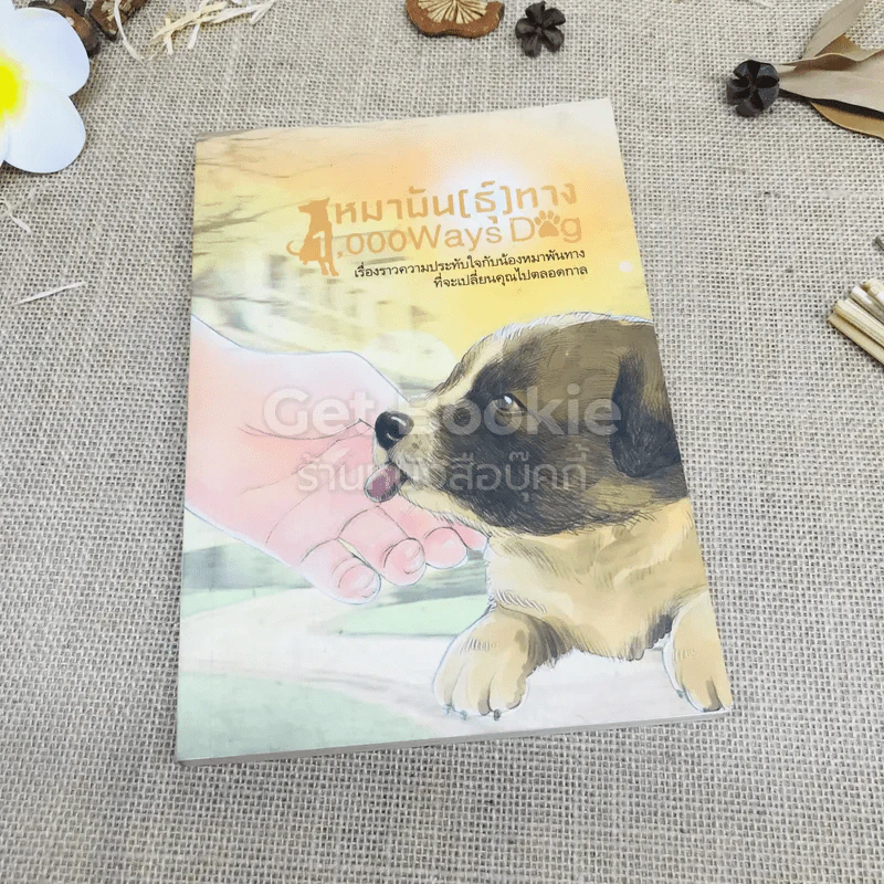 หมาพัน(ธุ์)ทาง 1,000 Ways Dog รูปที่ 1