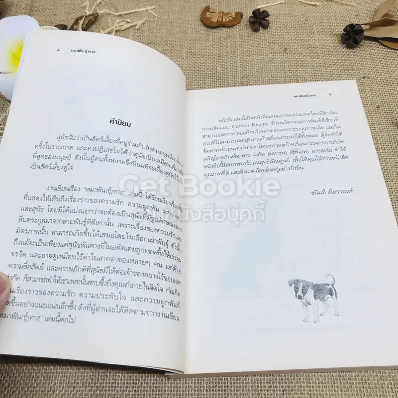 หมาพัน(ธุ์)ทาง 1,000 Ways Dog รูปที่ 5