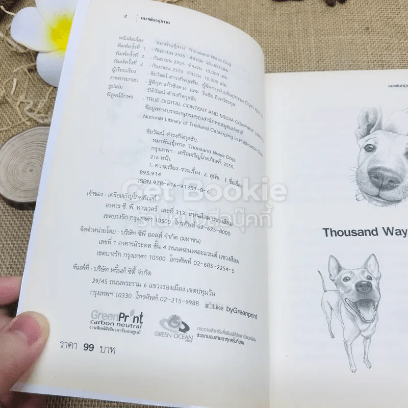 หมาพัน(ธุ์)ทาง 1,000 Ways Dog รูปที่ 4