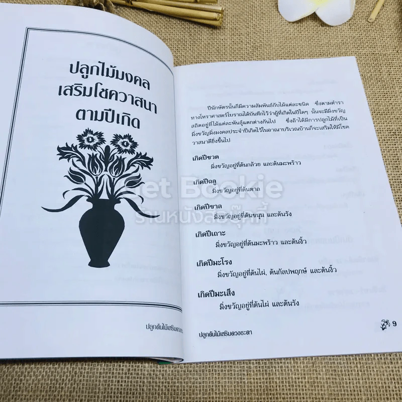 ปลูกต้นไม้เสริมดวงชะตา - แก้ว สุพรรโณ รูปที่ 6