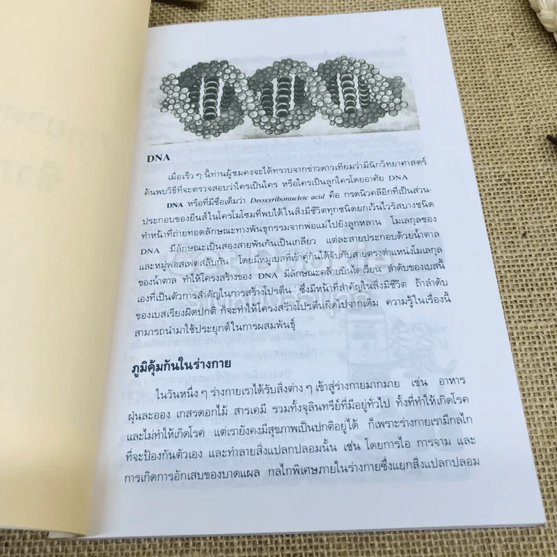 สารานุกรมวิทยาศาสตร์ เล่ม 1 รูปที่ 15