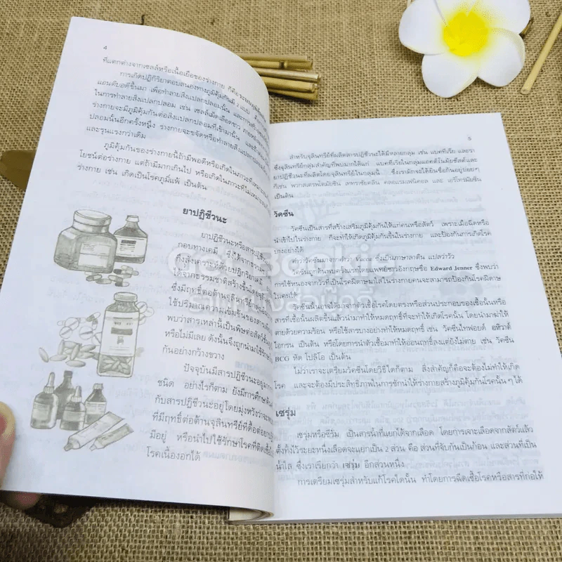 สารานุกรมวิทยาศาสตร์ เล่ม 1 รูปที่ 16
