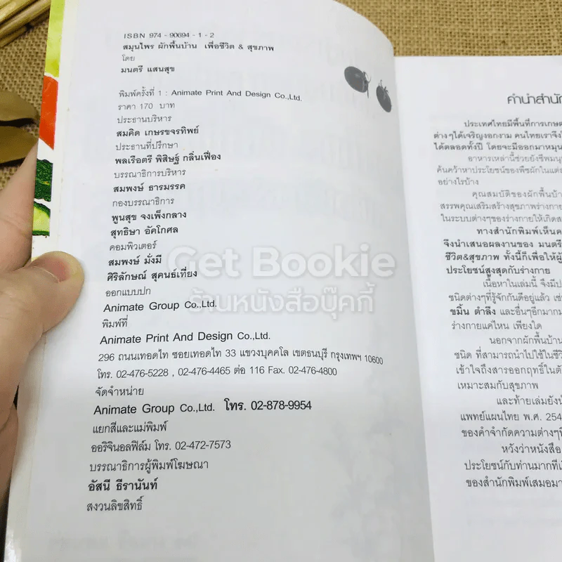 สมุนไพรผักพื้นบ้าน เพื่อชีวิต&สุขภาพ รูปที่ 5