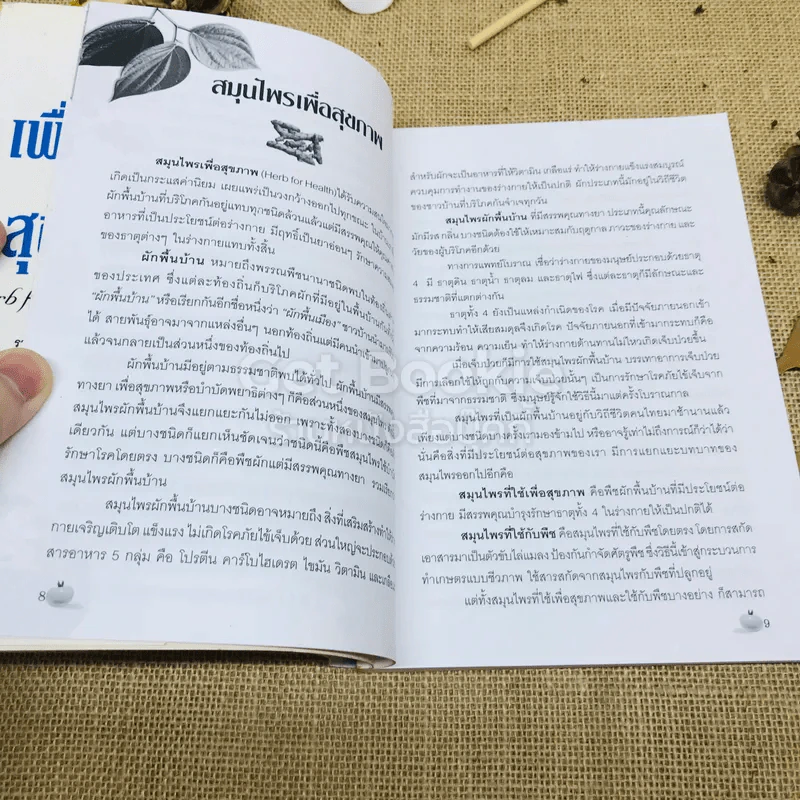 สมุนไพรผักพื้นบ้าน เพื่อชีวิต&สุขภาพ รูปที่ 8