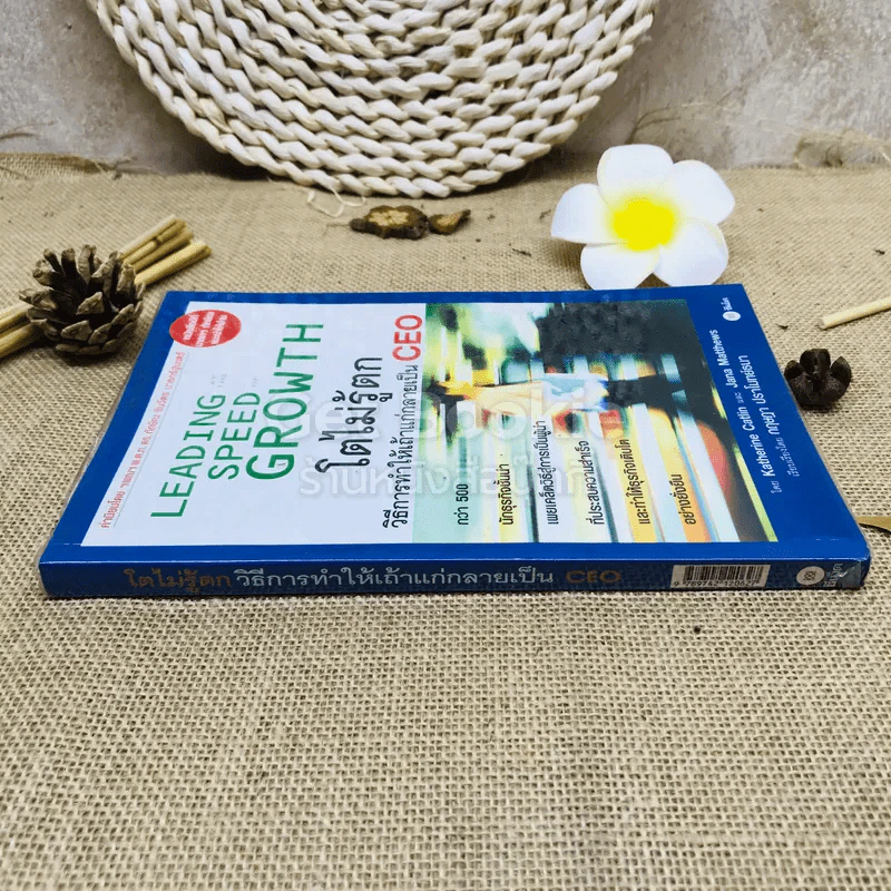 โตไม่รู้ตก วิธีการทำให้เถ้าแก่กลายเป็น CEO รูปที่ 2