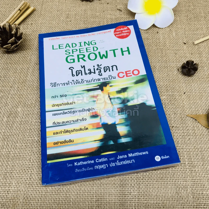 โตไม่รู้ตก วิธีการทำให้เถ้าแก่กลายเป็น CEO รูปที่ 1