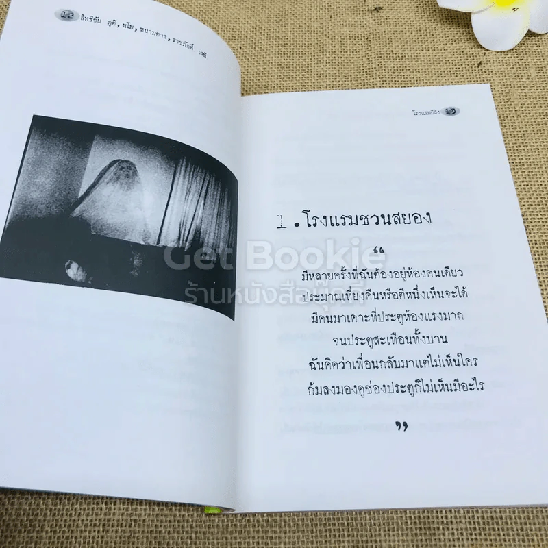 โรงแรมผีสิง รูปที่ 10
