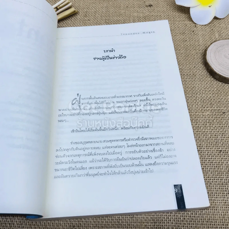 Treasure Magic เทรเชอร์ เมจิก  ผจญภัยขุมทรัพย์แห่งเวทมนตร์ 2 เล่มจบ รูปที่ 8