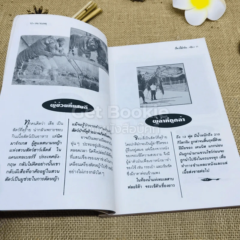 หมายเหตุชุด เรื่องนี้มีจริงจริง รูปที่ 10