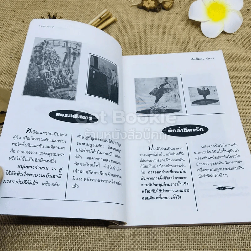 หมายเหตุชุด เรื่องนี้มีจริงจริง รูปที่ 8