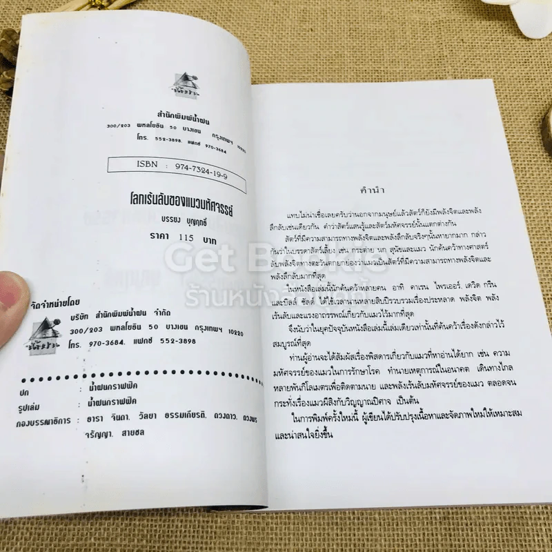 สารคดีชุดโลกเร้นลับ โลกเร้นลับของแมวมหัศจรรย์ รูปที่ 5