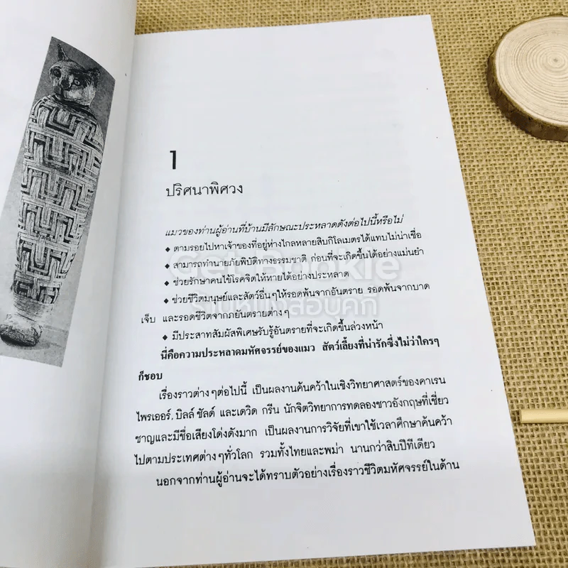 สารคดีชุดโลกเร้นลับ โลกเร้นลับของแมวมหัศจรรย์ รูปที่ 7