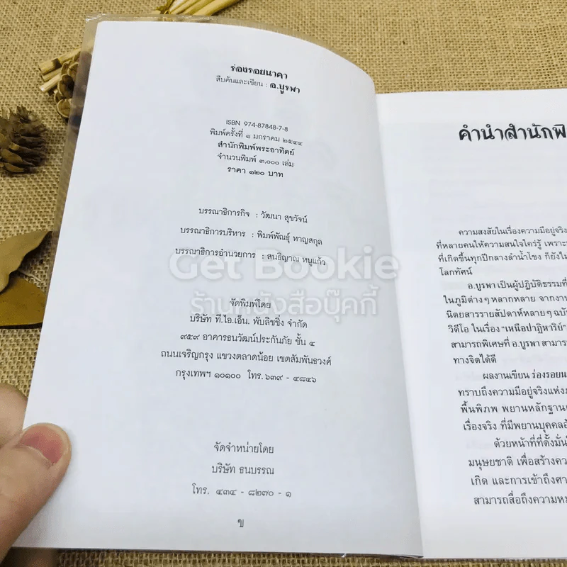 ร่องรอยนาคา พลิกมิติพญานาค พิสูจน์พลังต่างมิติ รูปที่ 5